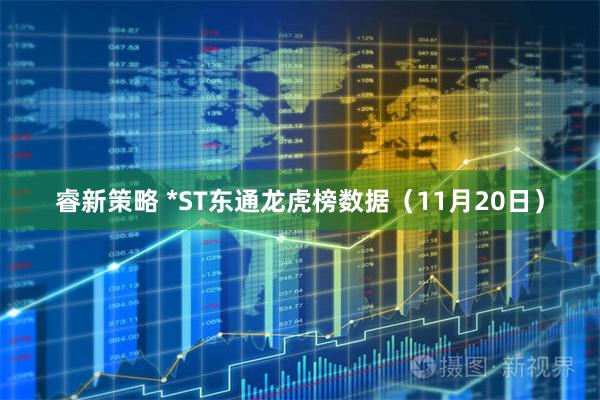 睿新策略 *ST东通龙虎榜数据（11月20日）