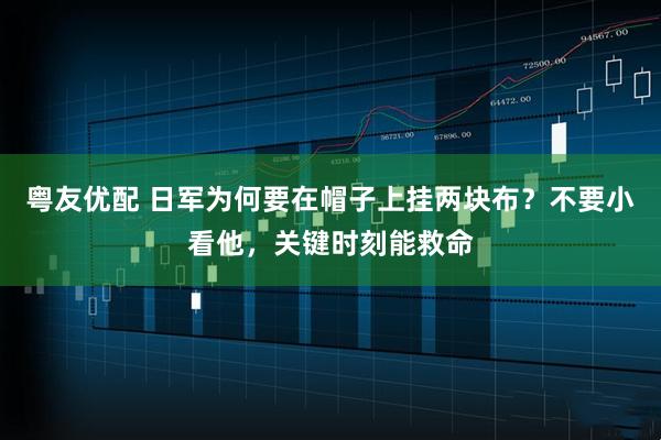 粤友优配 日军为何要在帽子上挂两块布？不要小看他，关键时刻能救命