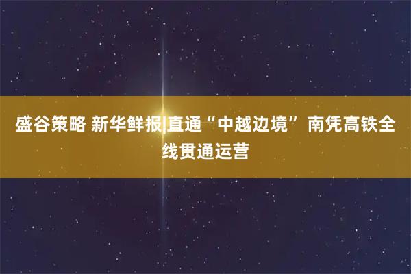 盛谷策略 新华鲜报|直通“中越边境” 南凭高铁全线贯通运营