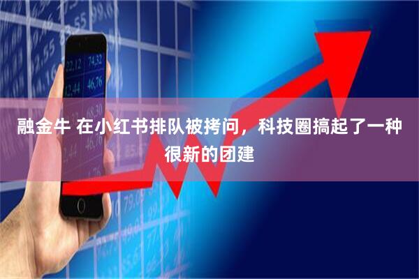 融金牛 在小红书排队被拷问，科技圈搞起了一种很新的团建